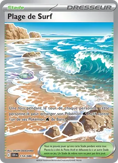 Plage de Surf · visuel de référence