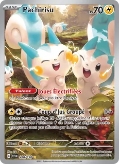 Pachirisu · visuel de référence
