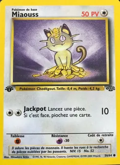 Miaouss · visuel de référence