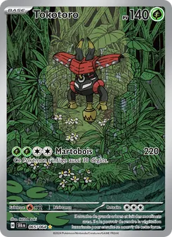 Tokotoro · visuel de référence