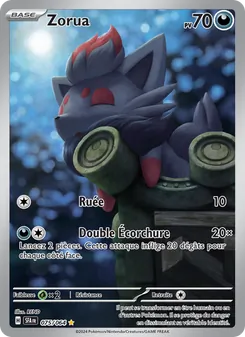 Zorua · visuel de référence