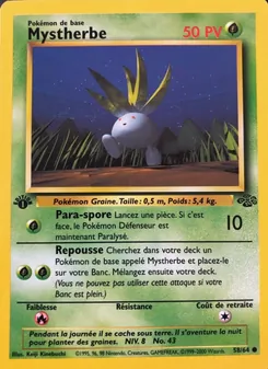 Mystherbe · visuel de référence